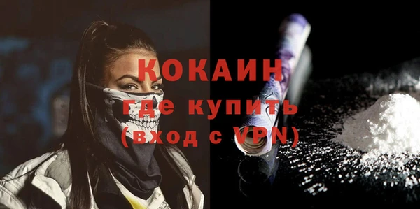 индика Богданович