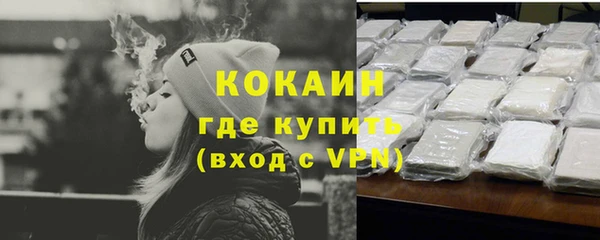 индика Богданович