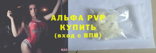 индика Богданович