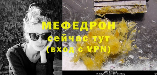 индика Богданович