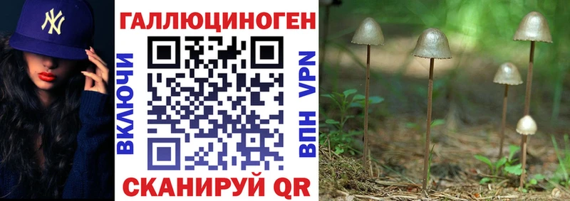 Галлюциногенные грибы Cubensis  Белебей 